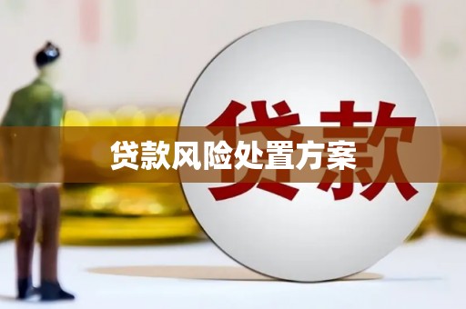 塘厦贷款风险处置方案