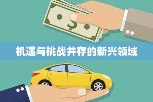 塘厦机遇与挑战并存的新兴领域