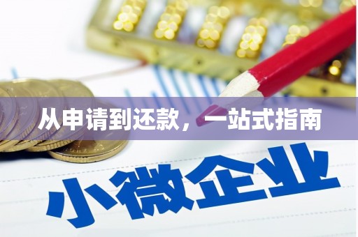 塘厦从申请到还款，一站式指南