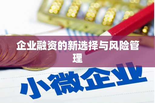 塘厦企业融资的新选择与风险管理